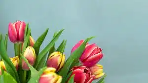 Best Flowers For Mother’s Day